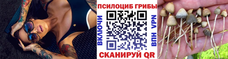 Галлюциногенные грибы Cubensis  Краснокаменск 